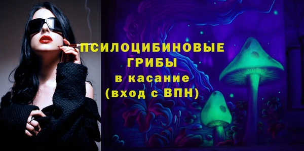 соль ск Арсеньев