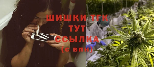 соль ск Арсеньев